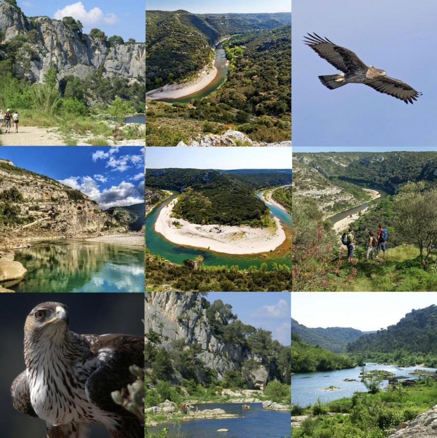 Le Cherche Midi, Entre Nimes, Le Pont Du Gard, Uzes, Arles マルグリット エクステリア 写真